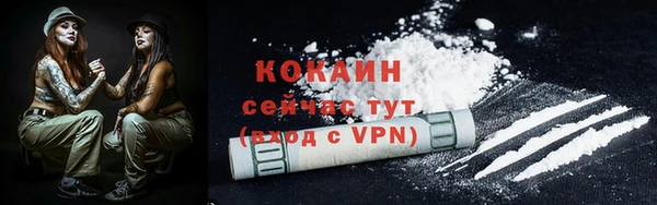 индика Зеленодольск