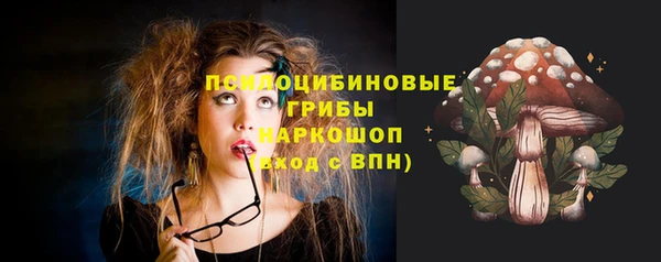 индика Зеленодольск