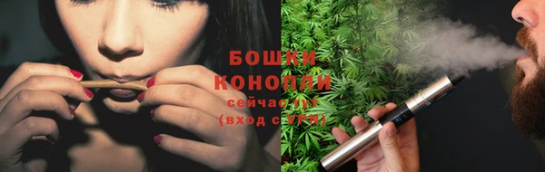 индика Зеленодольск