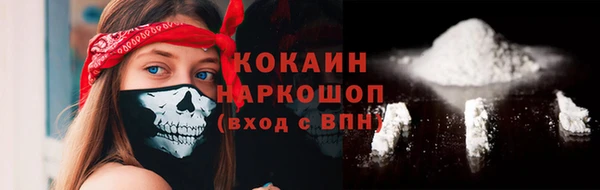 индика Зеленодольск