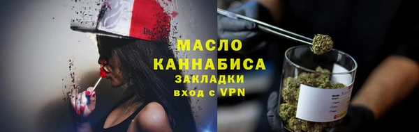 индика Зеленодольск