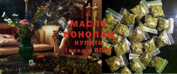 индика Зеленодольск