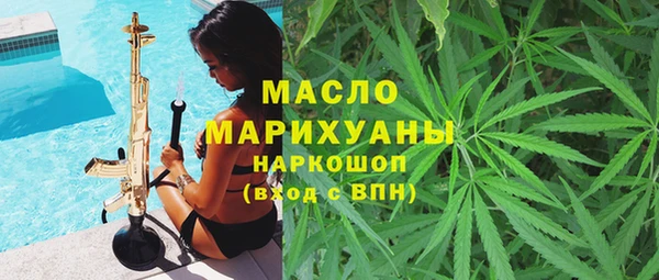 индика Зеленодольск
