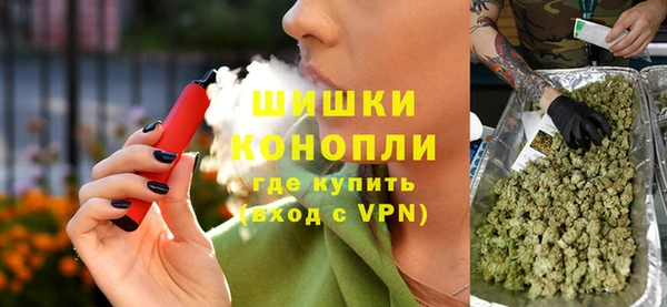 индика Зеленодольск