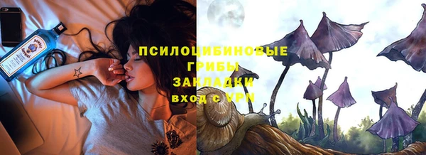 индика Зеленодольск