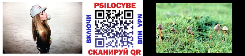 Галлюциногенные грибы Psilocybine cubensis  Купить где  Козловка 